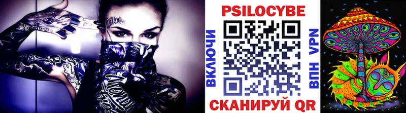 Псилоцибиновые грибы Psilocybe Новомичуринск