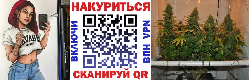 Марихуана конопля цена Новомичуринск